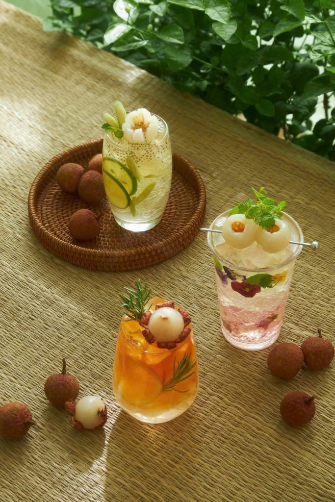 Lychee Summer Project (2)